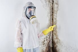 Why You Should Choose Our Mold Remediation Services in North College Hill, OH